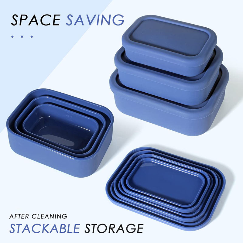 Leak-Resistant Bento Lunch Box - Meal Prep Box recension och pris