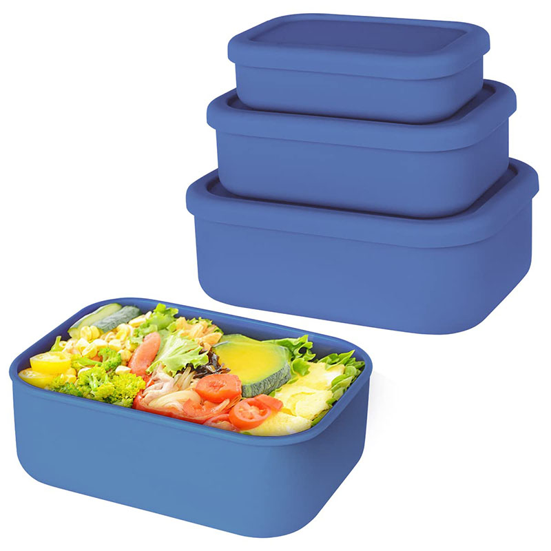 Leak-Resistant Bento Lunch Box - Meal Prep Box recension och pris