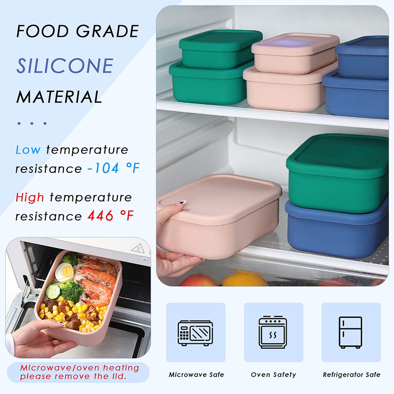 Leak-Resistant Bento Lunch Box - Meal Prep Box recension och pris